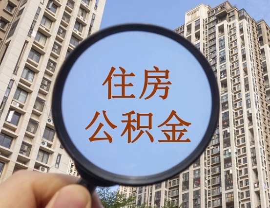寿光退休后查不到公积金明细了吗（退休后公积金查询不到原因）